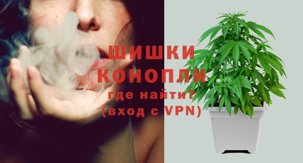 ПСИЛОЦИБИНОВЫЕ ГРИБЫ Нефтегорск