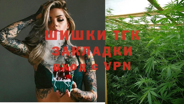 прущий лед Нея