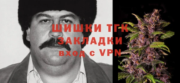 индика Алексин