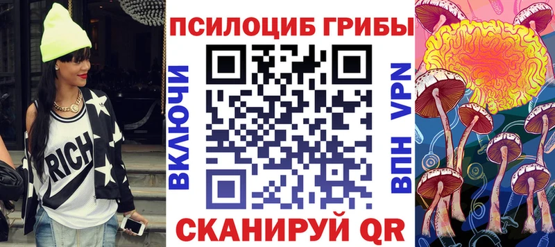купить   Новосибирск  MEGA   Псилоцибиновые грибы GOLDEN TEACHER 