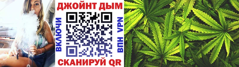 где продают наркотики  Новосибирск  Канабис сатива 